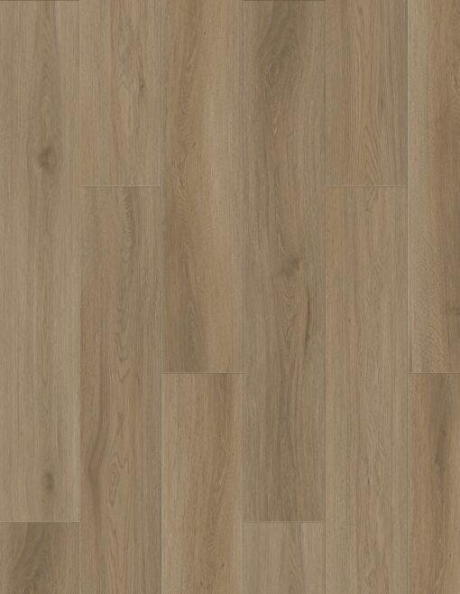 9104 Pale Oak