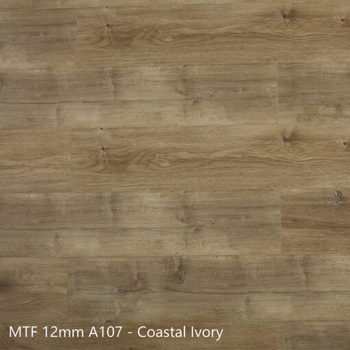 Coastal Ivory